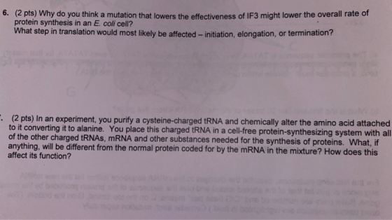 6. (2 pts) Why do you think a mutation that lowers the effectiveness of IF3 might lower the overama protein synthesis in an E