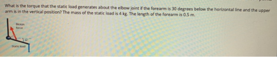 What is the torque that the static load generates about the elbow joint if the forearm is 30 degrees below the horizontal lin