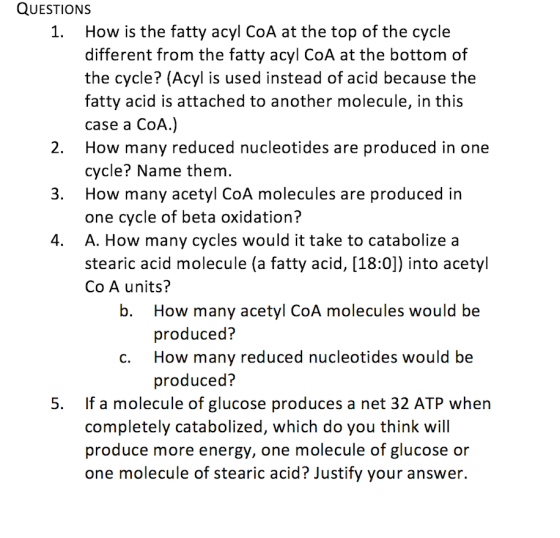 QUESTIONS 1. How is the fatty acyl CoA at the top of the cycle different from the fatty acyl COA at the bottom of the cycle?