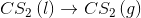 CS2 (1) CS2 (9)