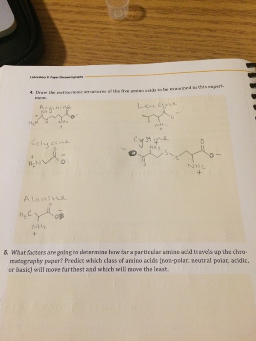 Draw the zwitterionic structures of the five amino