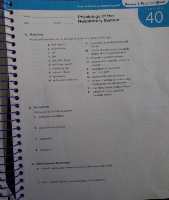 Now available in teringA&P Review & Practice Sheet Exercise 40 Name Physiology of the Respiratory System Date Section A. Matching Match each-term listed on the left with its correct description on the right. respiratory rate multiplied by tidal volume volume of air that can be forcefully exhaled after normal exhalation measures respiratory volumes amount of air normally inhaled or exhaled 1. vital capacity 2. tidal volume A. -3. IRV B. 4. ERV S. residual volume 6. total lung capacity 7. respiratory rate C. D. E. inspiration and expiration F IRV+ TV+ERV G. number of breaths per minute H. volume of air that can be forcefully 8. minute volume ー 9.sprometer 10. pulmonary ventilation inhaled after normal inhalation vital capacity plus residual volume volume of air that cannot be forcefully exhaled I. J. B. Definitions Define each of the following terms 1. pulmonary ventilation 2. intrapulmonic pressure 4. expiration C. Short-Answer Questions 1. How do external and internal respiration differ from each other? 2. Which skeletal muscles contract during active exhalation