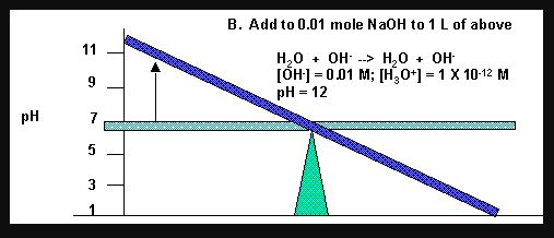 B. Add to 0.01 mole NaOH to 1 L of above H20OH20OH [OH-] = 0.01 M: [H30+] = 1 X 10-12 M pH = 12 9 pH