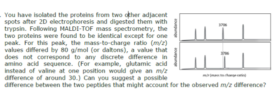 You have isolated the proteins from two other adjacent spots after 2D electrophoresis and digested them with trypsin. Following MALDI-TOF mass spectrometry, the 2 two proteins were found to be identical except for one peak. For this peak, the mass-to-charge ratio (m/z) values differed by 80 g/mol (or daltons), a value that does not correspond to any discrete difference in amino acid sequence. (For example, glutamic acid i instead of valine at one position would give an m/2 ーーーーーーーーーーーーーーー difference of around 30.) Can you suggest a possible difference between the two peptides that might account for the observed m/z difference? m/z (mass to chare ratio)