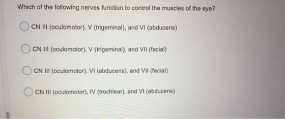 Which of the following nerves function to control the muscles of the eye? CN III (oculomotor), V (trigeminal), and VI (abduce