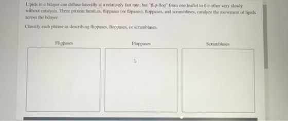 Lipids in a bilayer can diffuse laterally at a relatively fast rate, but flip-flop from one leaflet to the other very slowl