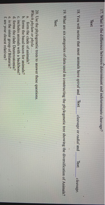 17. What is the difference between determinant and indeterminate cleavage? Text 18. You will notice that most animals have sp