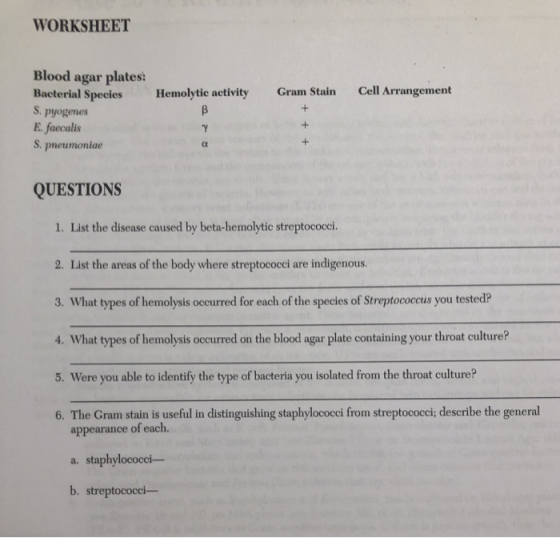 WORKSHEET Hemolytic activity Gram Stain Cell Arrangement Blood agar plates: Bacterial Species S. pyogenes E. faecalis S. pneu
