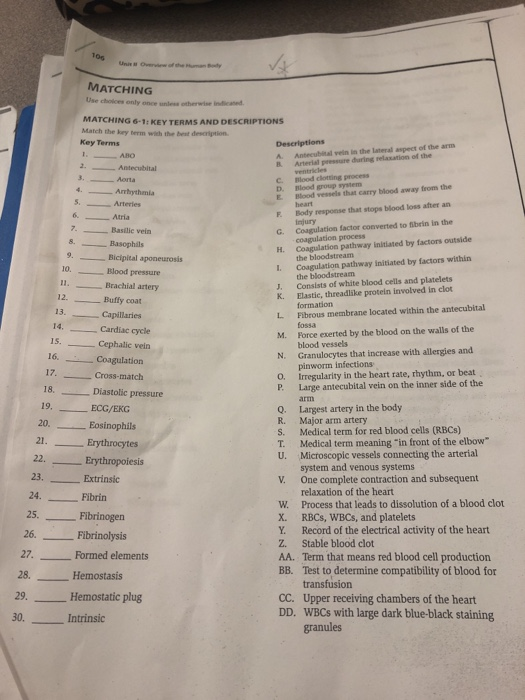MATCHING Use choses only once une herwi d MATCHING 6-1: KEY TERMS AND DESCRIPTIONS Match the key term with the best descripti