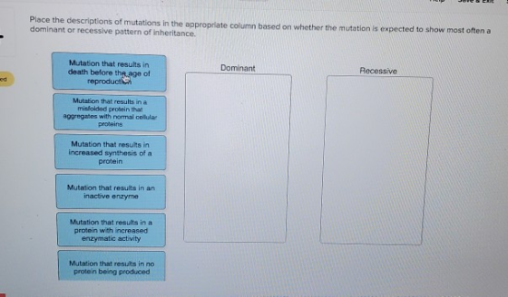 Place the descriptions of mutations in the appropriate column based on whether the mutation is expected to show most often a