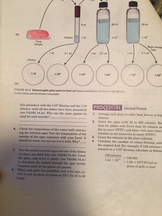9 ml (a) Dilution 1:10 1:10 0.1 ml 1 ml 0.1 ml FIGURE 54.4 Heterotrophic plate count on food. a) Prepare seraldilutions of food ample (b Lab six Petri dishes with the diutions to be plated. this procedure with the 1:10 dilution and the 1:10 PROCEDURE Second Period dilution until all the dishes have been inoculated (see FIGURE 54.3a). Why can the same pipette be 1. Arrange each plate in order from lowest to hig used for each transfer? 2. Select the plate with 25 to 250 colonies. Re data for plates with fewer than 25 colonies as 6. Check the temperature of the water bath contain- few to count (TFTC) and those with more than outside of the agar. temperature of the colonies, as too numerous to count (TNTC) agar container your hand. It 3. Count the colonies on the plate selected. should be warm, but not too hot to hold. Why? 4. Calculate the number of colony forming unit the original food. For example, if 129 colonies v counted on a 1:10 dilution, calculate as follows 7. Pour the melted nutrient agar into one of the dishes (to about one-third full) (see FIGURE 54.3b). Cover 129 colonies the plate, and swirl it gently (see FIGURE 54.3c) 129,000 1 ml x 10 1.29 x 10 CFU/ml or to distribute the sample through the agar evenly. Continue until all the plates are poured. gram of milk or food 8. When each plate has solidified, seal with tape, in- vert it, and incubate all plates at 35 c for 24 to 48