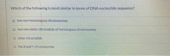 Which of the following is most similar in terms of DNA nucleotide sequence? o two non-homologous chromosomes Otwo non-sister