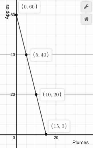 (0.60) Apples 600 40 (5, 40) 20 (10,20) (15,0) 0 20 Plumes