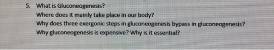 5. What is Gluconeogenesis? Where does it mainly take place in our body? Why does three exergonic steps in gluconeogenesis by