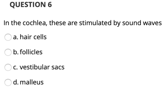 QUESTION 6 In the cochlea, these are stimulated by sound waves a. hair cells O b.follicles O c. vestibular sacs O d. malleus