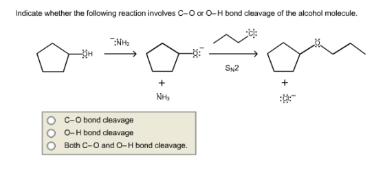 Indicate whether the following reaction involves C