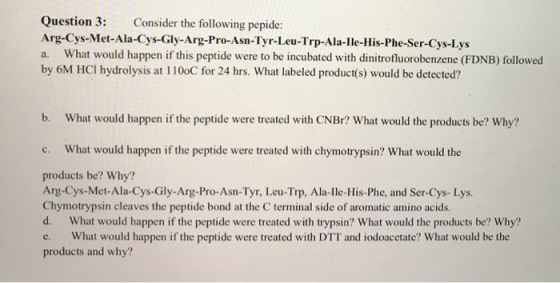 Question 3: Arg-Cys-Met-Ala-Cys-Gly-Arg-Pro-Asn-Tyr-Leu-Trp-Ala-Ile-His-Phe-Ser-Cys-Lys a. What would happen if this peptide