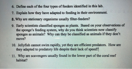 6. Define each of the four types of feeders identified in this lab. 7. Explain how they have adapted to feeding in their envi