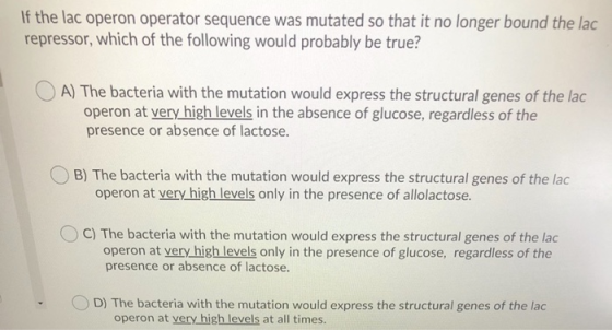 If the lac operon operator sequence was mutated so that it no longer bound the lac repressor, which of the following would pr