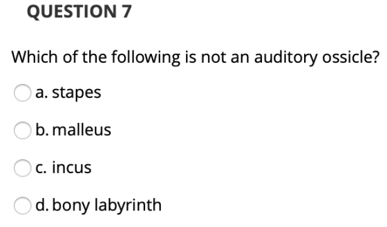 QUESTION 7 Which of the following is not an auditory ossicle? a. stapes O b.malleus O c. incus O d. bony labyrinth
