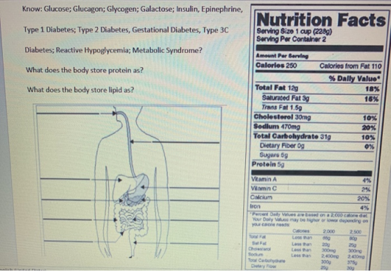 Know: Glucose; Glucagon; Glycogen; Galactose; Insulin, Epinephrine, Nutrition Facts Type 1 Diabetes; Type 2 Diabetes, Gestati