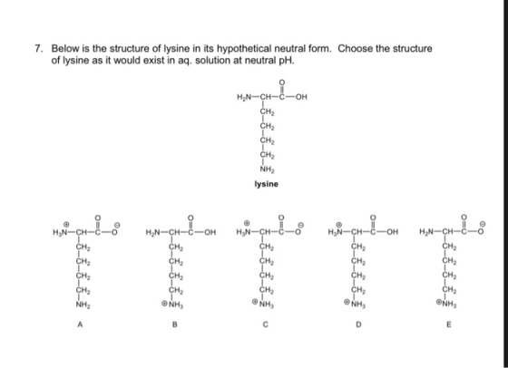 7. Below is the structure of lysine in its hypothetical neutral form. Choose the structure of lysine as it would exist in aq.