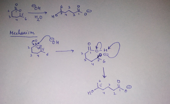 21 M HO Mechanism OH 31 3 4 4 2