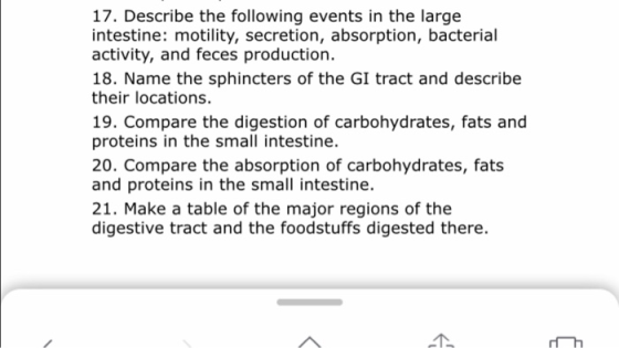17. Describe the following events in the large intestine: motility, secretion, absorption, bacterial activity, and feces production. 18. Name the sphincters of the GI tract and describe their locations. 19. Compare the digestion of carbohydrates, fats and proteins in the small intestine. 20. Compare the absorption of carbohydrates, fats and proteins in the small intestine. 21. Make a table of the major regions of the digestive tract and the foodstuffs digested there.