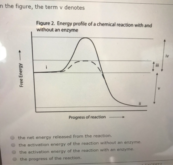 in the figure, the term v denotes Figure 2. Energy profile of a chemical reaction with and without an enzyme - Free Energy Pr