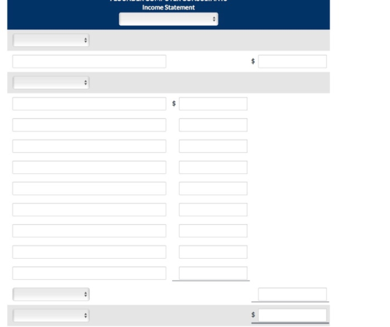 Income Statement