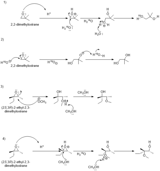 1) H н* 180 Н Hа180 H 2,2-dimethyloxirane Н-180: Н-о : H190-Н Он H1800 Н180 но но 2,2-dimethyloxirane 3) CH,ӧн Он он Всн, /H.