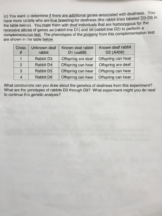 (C) You want to determine if there are additional genes associated with deatness. You have more rabbits who are true breeding