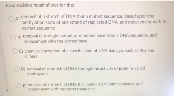 Base excision repair allows for the: A) removal of a stretch of DNA that a mutant sequence, based upon the methylation state