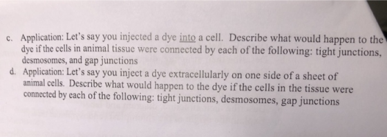 6. Application: Lets say you injected a dye into a cell. Describe what would happen to the dye if the cells in animal tissue