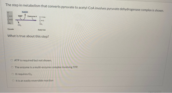 The step in metabolism that converts pyruvate to acetyl-CoA involves pyruvate dehydrogenase complex is shown. NADH NAD Correm