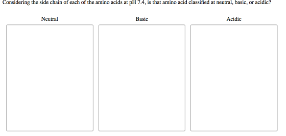 Considering the side chain of each of the amino acids at pH 7.4, is that amino acid classified at neutral, basic, or acidic?