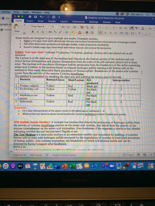 Format 192.168.12 Tools Table Window Help o 5 0 Home Insert Draw Design Layout Times New R. 12 . A- A B TUXX google.cc Oxidat