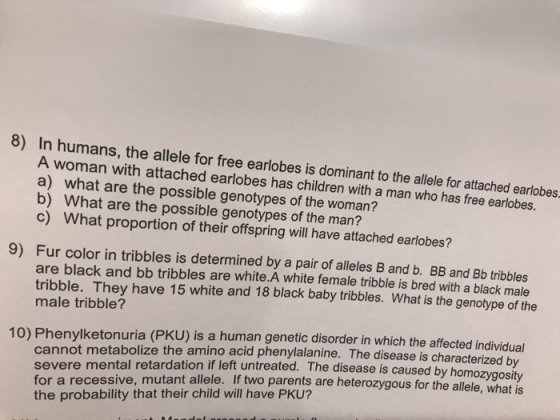 8) In humans, the allele for free earlobes is dominant to the allele for attached earlobes. A woman with attached earlobes ha