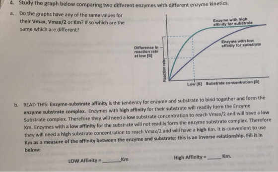 yule grapn below comparing two different enzymes with different enzyme kinetics. a. Do the graphs have any of the same values