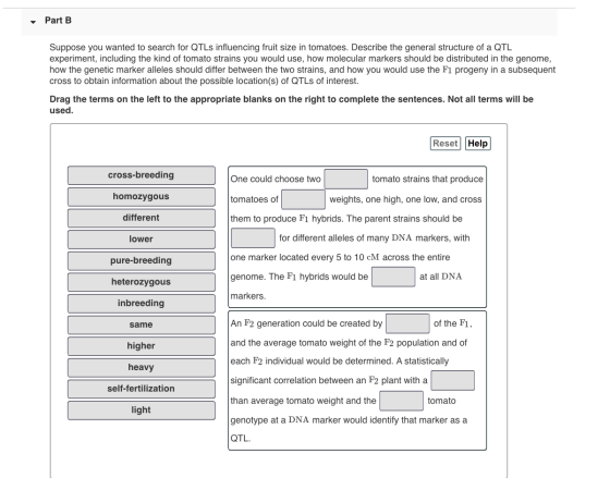 Part B Suppose you wanted to search for QTLs influencing fruit size in tomatoes. Describe the general structure of a QTL expe
