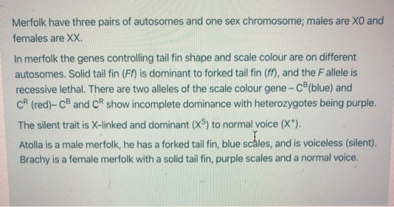 Merfolk have three pairs of autosomes and one sex chromosome; males are XO and females are XX. In merfolk the genes controlli