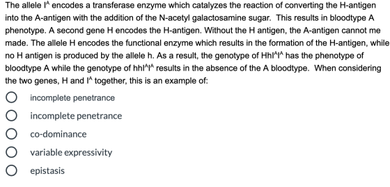 The allele 14 encodes a transferase enzyme which catalyzes the reaction of converting the H-antigen into the A-antigen with t