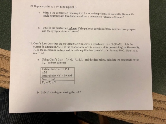10. Suppose point A is 0.4m from point B. a. What is the conduction time required for an action potential to travel this distance if a single neuron spans this distance and has a conduction velocity is 60m/sec? b. What is the conduction yelocity if the pathway consists of three neurons, two synapses and the synaptic delay is 1 msec? 11. Ohms Law describes the movement of ions across a membrane: I-G(Vm-E). I is the current in amperes (A), G is the conductance of x (a measure of its permeability) in Siemens(S), Vm is the membrane voltage and E is the equilibrium potential of x. Assume 30C. Note: nS x mV pA a. Using Ohms Law, G(VarE), and the data below, calculate the magnitude of the I Na+ (sodium current). Extracellular Na 150 mM Intracellular Na+ = 10 mM b. Is Na* entering or leaving the cell?
