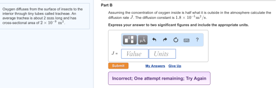 Oxygen diffuses from the surface of insects to the