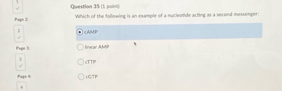 Question 35 (1 point) Which of the following is an example of a nucleotide acting as a second messenger: Page 2 O CAMP Page 3