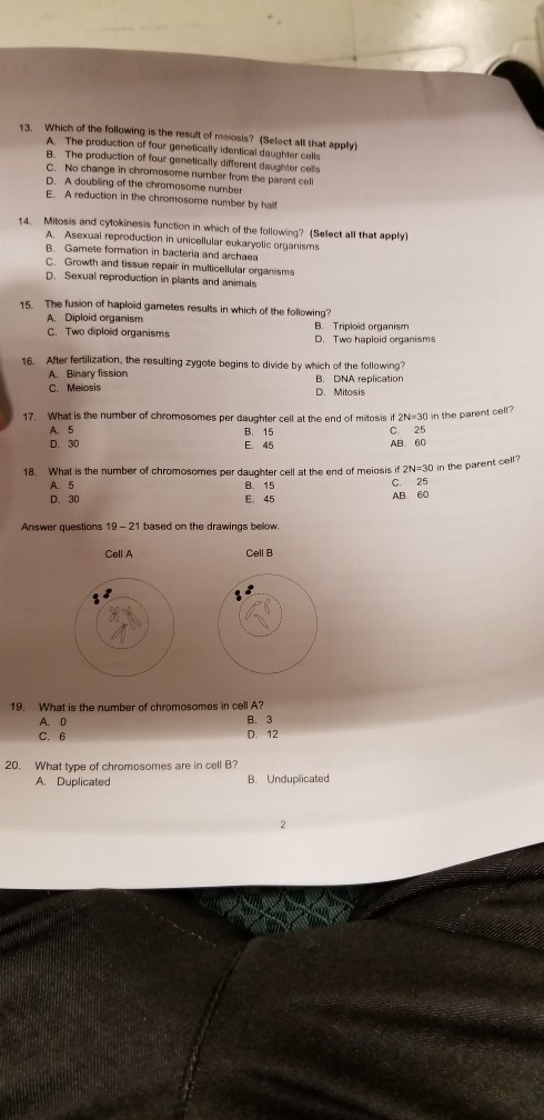 Which of the following is the result of meiosis? (Select all that apply) A The production of four genetically identical daughter cells B. The production of four genetically different daughter cels C. No change in chromosome number from the parent cel D. A doubling of the chromosome number E. A reduction in the chromosome number by haif 13. Mitosis and cytokinesis function in which of the following? (Select all that apply) A. Asexual reproduction in unicellular eukaryotic organisms B. Gamete formation in bacteria and archaea C. Growth and tissue repair in multicellular organisms D. Sexual reproduction in plants and animals 14. The fusion of haploid gametes results in which of the following? A. Diploid organism C. Two diploid organisms 15. B. Triploid organism D. Two haploid organisms After fertilization, the resulting zygote begins to divide by which of the following? A. Binary fission C. Meiosis 16. B. DNA replication D. MitosiS What is the number of chromosomes per daughter cell at the end of mitosis if 2N-30 in the parent A. 5 D. 30 17. B. 15 E. 45 С. 25 AB. 60 cell? the parent What is the number of chromosomes per daughter cell at the end of meiosis if 2N-30 in A. 5 D. 30 18. С. 25 AB. 60 B. 15 E. 45 Answer questions 19-21 based on the drawings below Cell B Cell A What is the number of chromosomes in cell A? A. 0 C. 6 19. D. 12 What type of chromosomes are in cell 8? A. Duplicated 20. B. Unduplicated