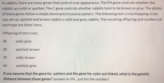 In rabbits, there are many genes that control coat appearance. The EN gene controls whether the rabbits are solid or spotted.