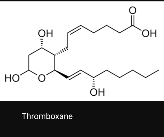 OH ОН Но ОН Thromboxane ш
