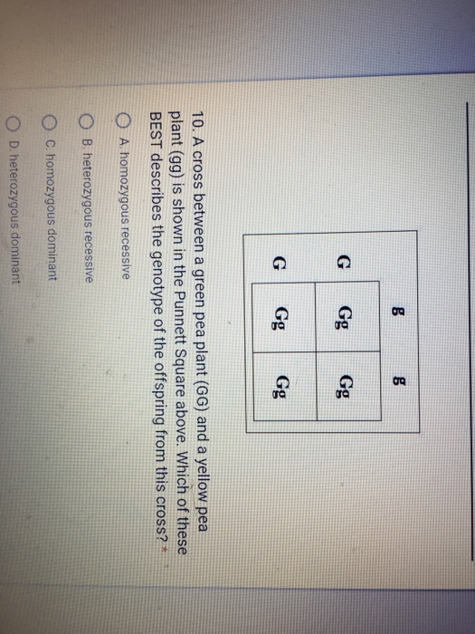 GGg Gg GİGg G GgGg 10. A cross between a green pea plant (GG) and a yellow pea plant (gg) is shown in the Punnett Square abov