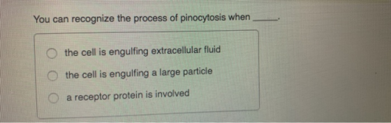 You can recognize the process of pinocytosis when O the cell is engulfing extracellular fluid the cell is engulfing a large p